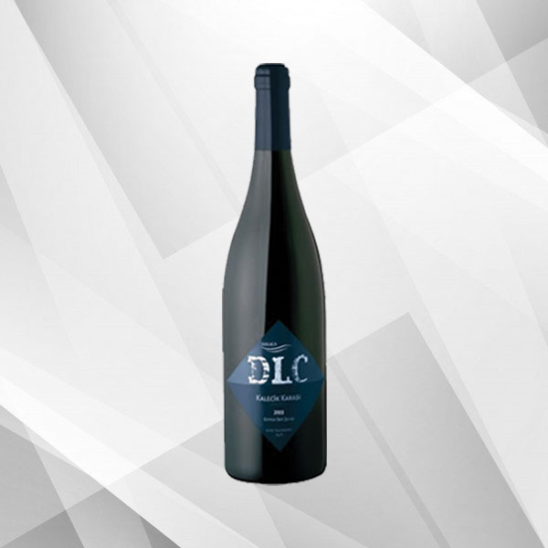 Istanbul City Bus Tour and Bosphorus Cruise