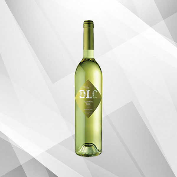 Istanbul City Bus Tour and Bosphorus Cruise