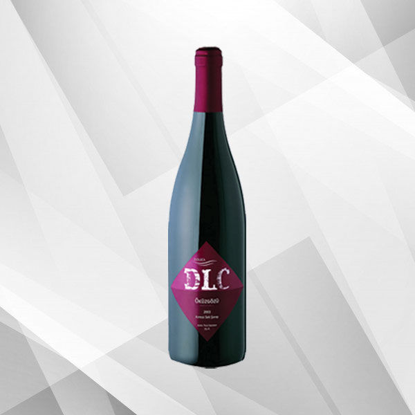 Istanbul City Bus Tour and Bosphorus Cruise