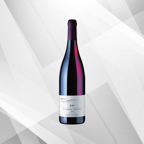 Istanbul City Bus Tour and Bosphorus Cruise