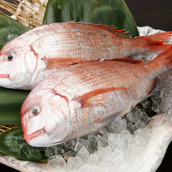 Istanbul City Bus Tour and Bosphorus Cruise